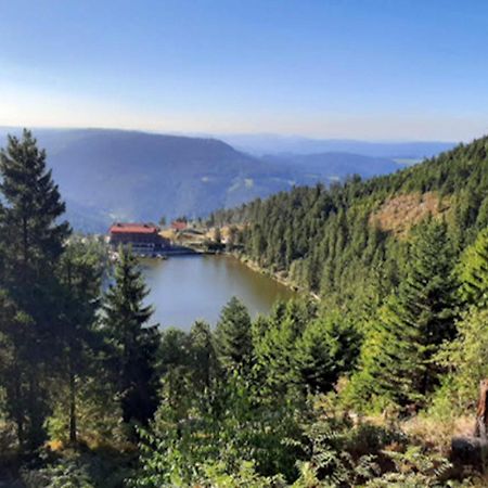 Апартаменти Rehkitz Баїрсбронн Екстер'єр фото