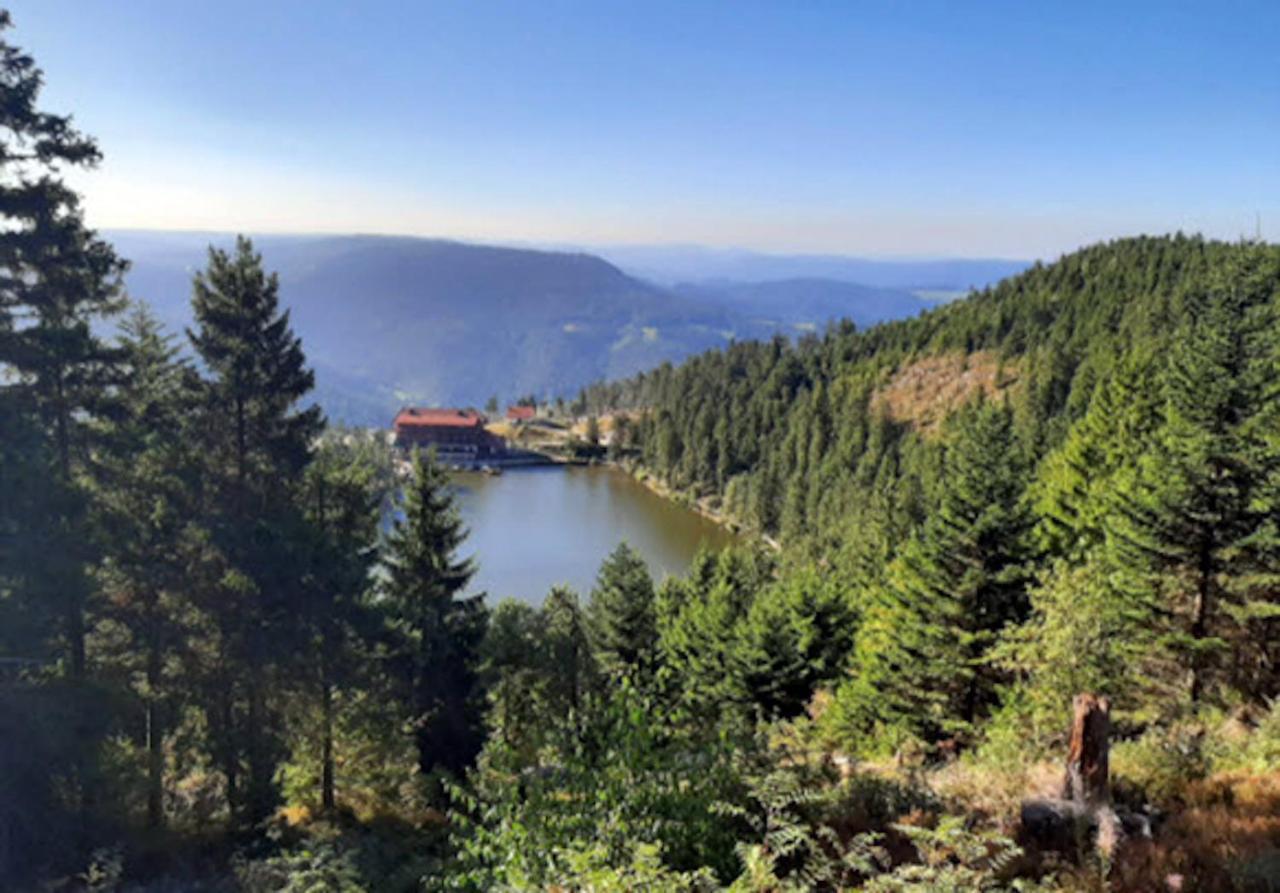 Апартаменти Rehkitz Баїрсбронн Екстер'єр фото
